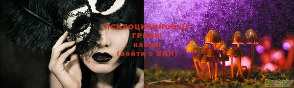 кокаин Гусь-Хрустальный