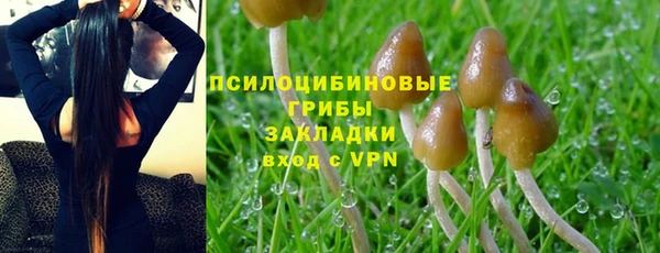 гашишное масло Гусиноозёрск