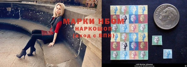 гашик Тында