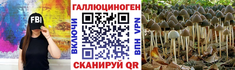 что такое   Пикалёво  Галлюциногенные грибы мицелий 